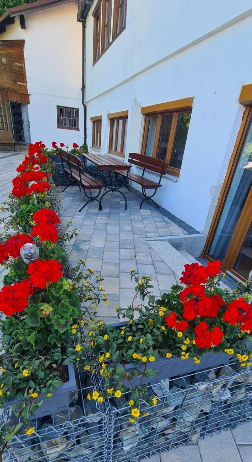 בוהל אם אלפסי Ferienwohnung Mit Sauna Am Alpsee מראה חיצוני תמונה